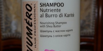 Shampooing pour cheveux secs et poreux