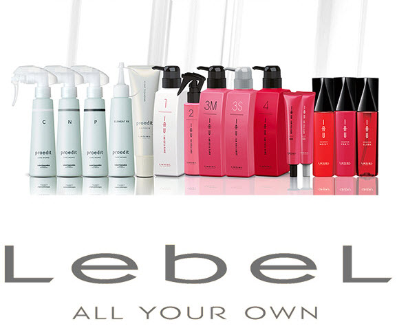 Produits capillaires Lebel