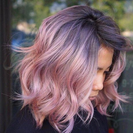 Photo de rose, coloration de cendres dans le style du balayage